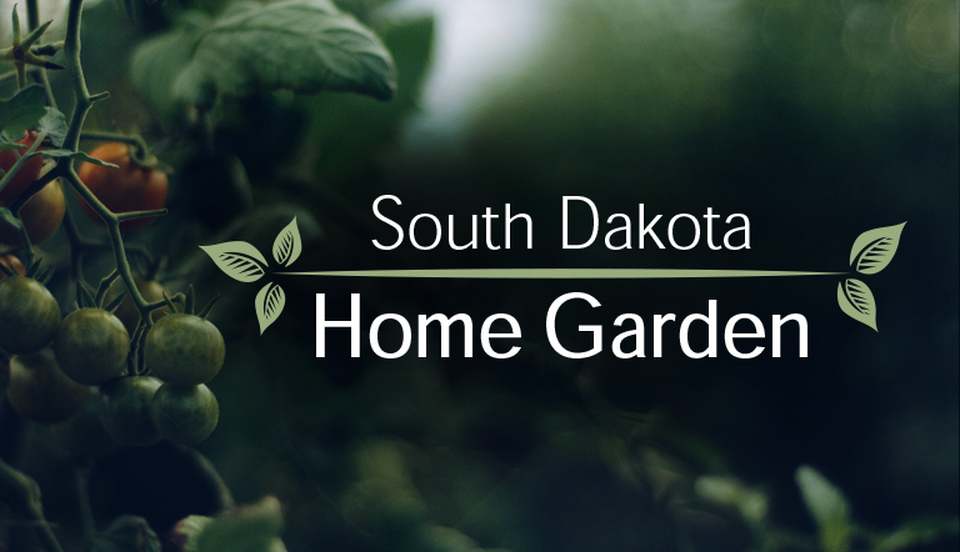 South Dakota Public Broadcasting SDPB NPR PBS